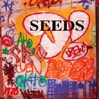 Picture for song 'orange' by artist 'the Daemon Seedz'