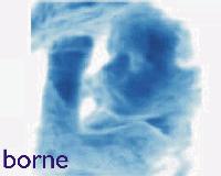 Picture for song 'borne' by artist 'the day Jacob smiled'