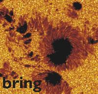 Picture for song 'bring' by artist 'the day Jacob smiled'