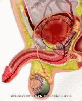 Picture for song 'Pissin' Blood' by artist 'The Deadites'