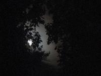 Picture for song 'Mini-Games' by artist 'The Diplomats'