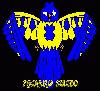 Picture for song 'too much dodja' by artist 'the dirty bird'