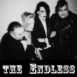 Picture for song 'Pray -The Endless' by artist 'The Dixie Flatline'