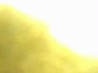 Picture for song 'The Inaudible Crash' by artist 'The Doctrine-Powered Bolshevik Rockets (D-PBR)'