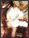 Picture for song 'Then God said to Noah' by artist 'The Down Man'