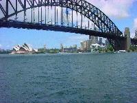 Picture for song 'Thats My Son' by artist 'Homebrewed'