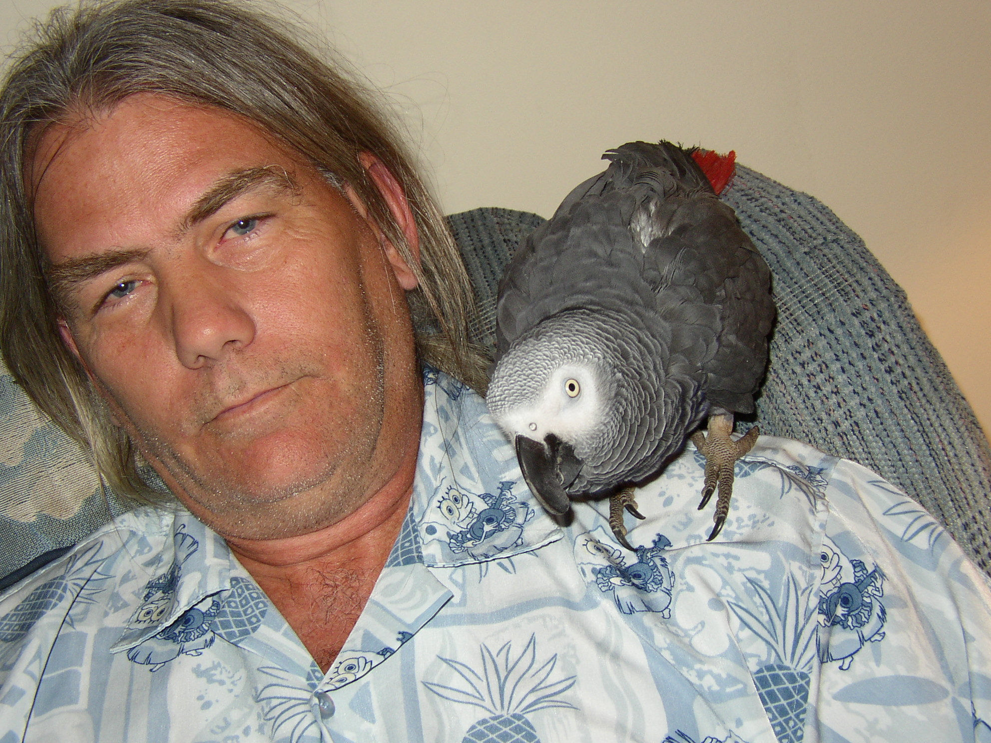 Picture for song 'Two Sides' by artist 'The Eastsides 2nd Best All Star Band'