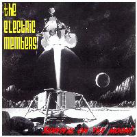 Picture for song 'La Lucha' by artist 'the electric members'