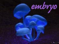 Picture for song 'Let Me In' by artist 'the embryo'