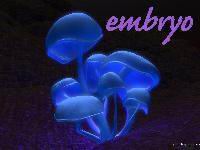 Picture for song 'Nectarine #2 (Instru)' by artist 'the embryo'