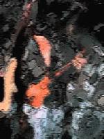 Picture for song 'another summers end' by artist 'the ether'