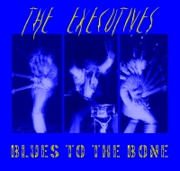 Picture for song 'Poor Boy Blues' by artist 'THE EXECUTIVES (USA)'