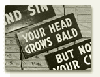 Picture for song 'Burma Shave' by artist 'The Fall Guys'
