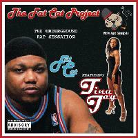 Picture for song 'Live & Direct' by artist 'The Fat Cat Project'