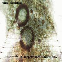 Picture for song 'Choking on Bullshit' by artist 'the feeder'