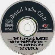 Picture for song 'White Trash Face Milk' by artist 'The Flaming Babies With Nipples In Their Mouths'