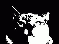 Picture for song 'waste of paint' by artist 'the flash'