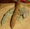 Picture for song 'Im Gettin High Tonight' by artist 'TheFoulMouthCrew'
