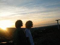 Picture for song 'Where the Reds Grow Fern' by artist 'The Fruit Basket'