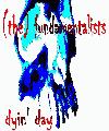 Picture for song 'Dyin' Day' by artist '(the) fundamentalists'