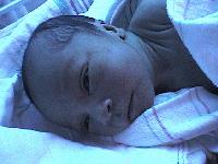 Picture for song 'Rock Rock ON!!!' by artist 'the FundaMentals'