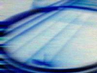 Picture for song 'New Legs' by artist 'The Furverts'