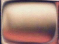 Picture for song 'Whatsaname' by artist 'The Furverts'