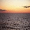 Picture for song 'Reach for the Sun' by artist 'The Gassmen'