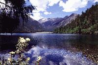 Picture for song 'Confucious say's your wack' by artist 'The God'