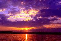 Picture for song 'FAGGOT RAPPERS' by artist 'The God'