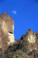 Picture for song 'MOVE' by artist 'The God'