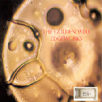 Picture for song '02 Gray Edge' by artist 'The Golden Wire'