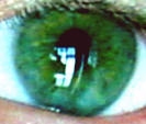 cover pic