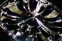 Picture for song 'big chuck and b-dot beat(Freestyle)' by artist 'The Greatest In Da World Ent'