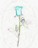 Picture for song 'Edelweiss/La Vie En Rose' by artist 'The Greatful Stones'