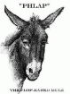 Picture for song 'Flop-Eared Mule G to D' by artist 'The Greatful Stones'