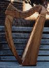 Picture for song 'Planxty George Brabazon' by artist 'The Greatful Stones'