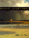 Picture for song 'picnic, lightning' by artist 'The Green Lion'
