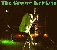 Picture for song 'Shake Your Hips' by artist 'The Groove Krickets'