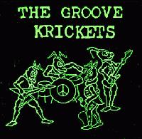 Picture for song 'Who's To Blame' by artist 'The Groove Krickets'
