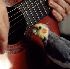 Picture for song 'The Happy Cockatiel (feat. Billie)' by artist 'The Happy Cockatiel'