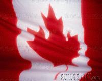 Picture for song 'Maple Leaf Rock- Canadian Version' by artist 'The Hoodoos'