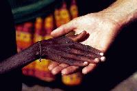 Picture for song 'Feed My Children' by artist 'Howie Fritz'