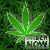Picture for song 'The Plant (Prod. by Ac)' by artist 'THE INC PRODUCTIONS'
