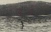 Picture for song 'nessie break' by artist 'the intangible teknishun'