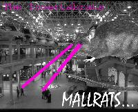 Picture for song 'Abortion Breakout' by artist 'The Invertabrats'