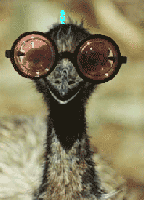 Picture for song 'The Twisted Darkness of Despair' by artist 'The Jungle Bunnies'