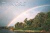 Picture for song 'Through The Rain' by artist 'The KORE'