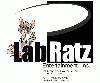 Picture for song 'Dirty South Beat' by artist 'The Lab Ratz'