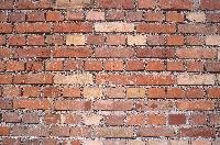 Picture for song 'Brick Wall' by artist 'The Late Night Show'